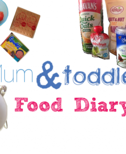 Mum & Toddler Food Diary
