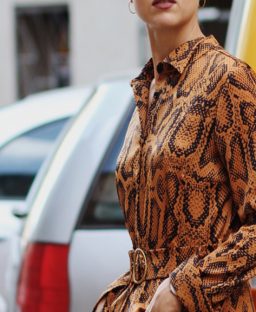 16 Snake Print Dresses To Buy NOW!